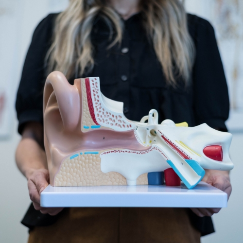 dizziness-momentum-health-calgary-ab