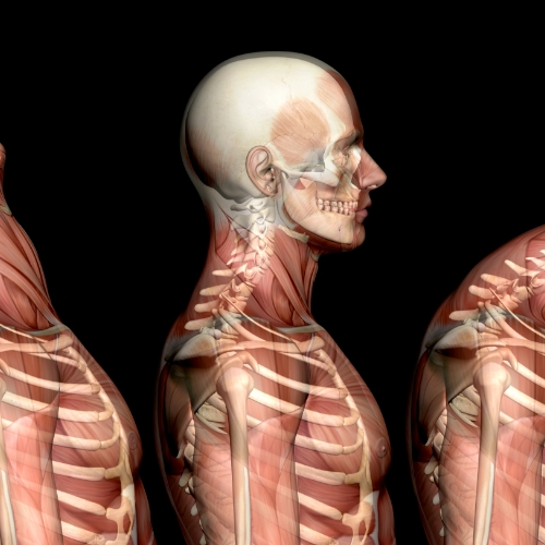 motor-vehicle-accident-injuries-momentum-health-calgary-ab