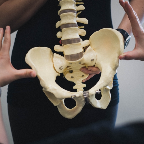 pelvic-pain-momentum-health-calgary-ab