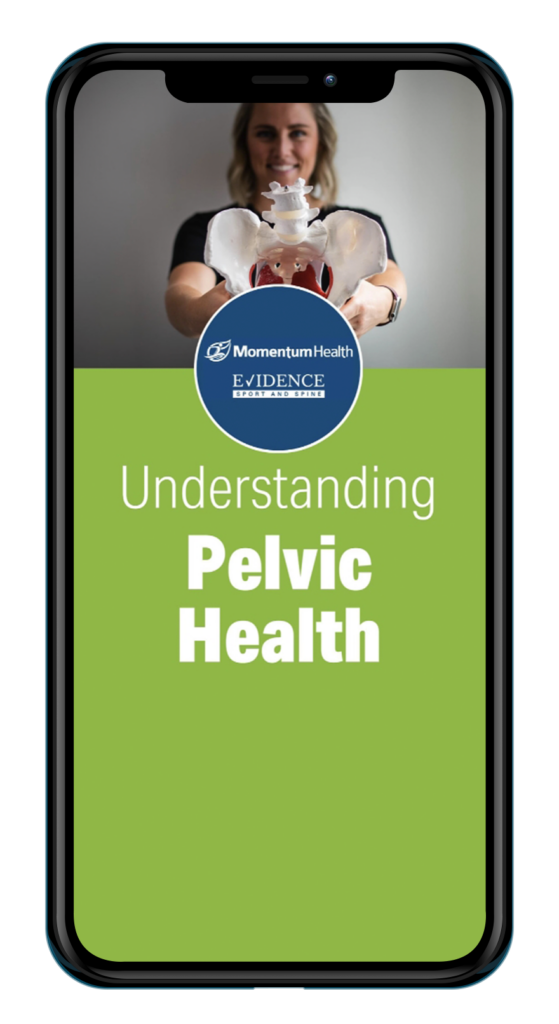 Momentum-health-calgary-ebook-pelvic-health
