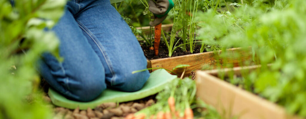 Managing Knee Pain from Osteoarthritis with Physiotherapy